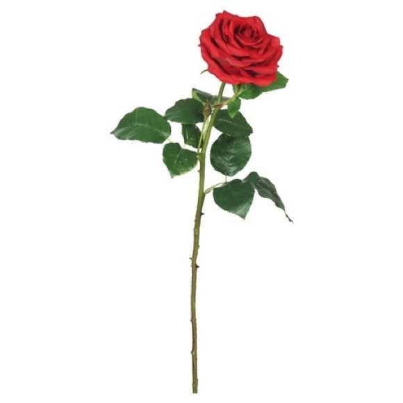 Meet your Posher, Madeline - Picture 1 of 1